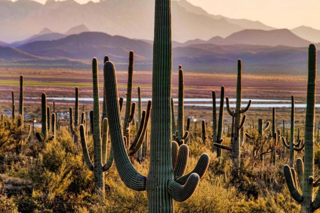 Tucson The Greens! 3Br Apt W/ Pool & Spa Zewnętrze zdjęcie